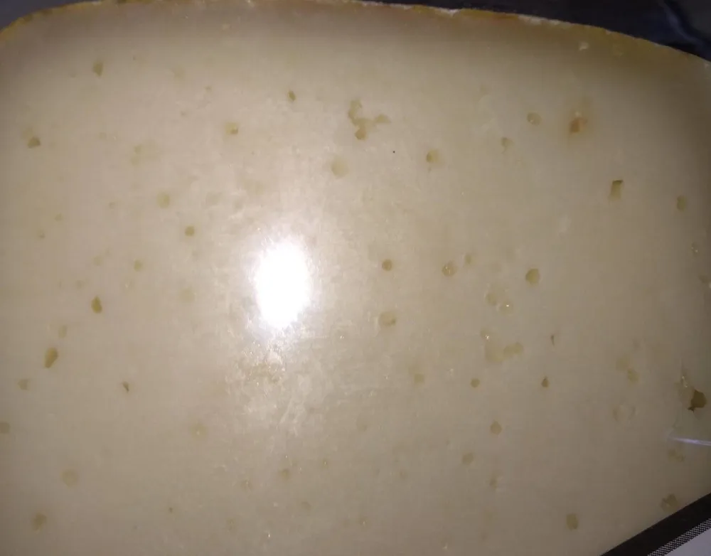 Tomme de chèvre fermière