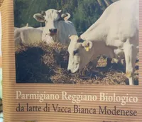 Parmigiano Reggiano biologico