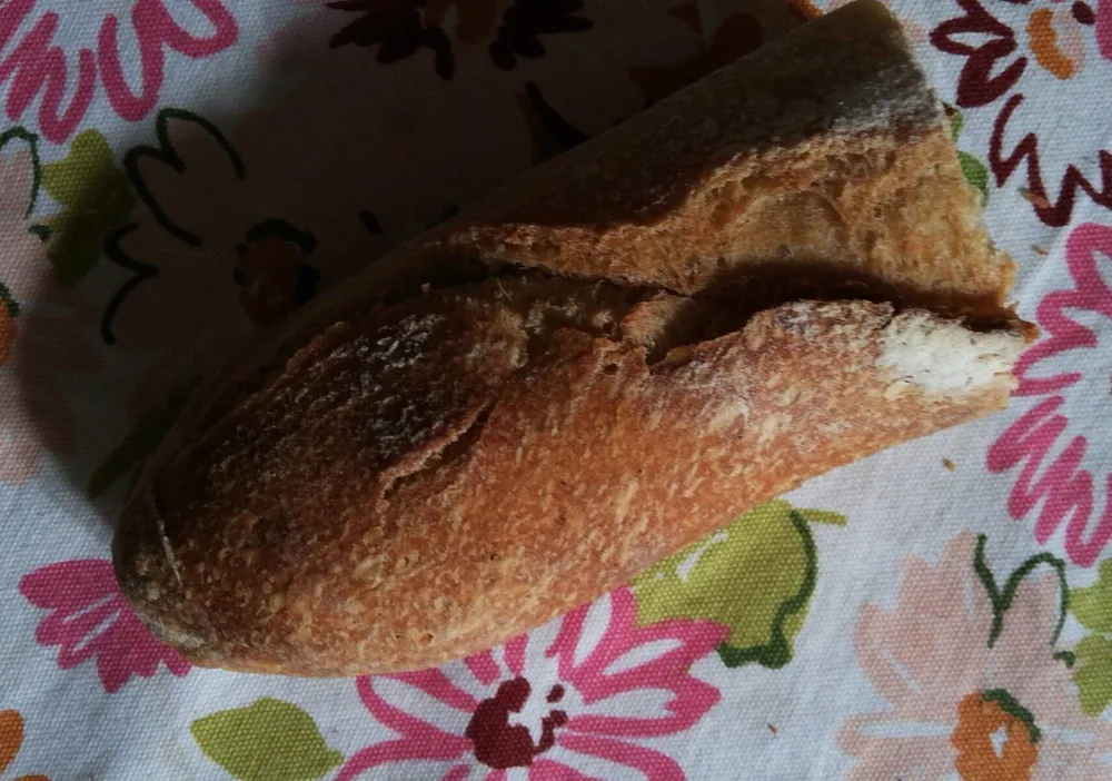 Panini