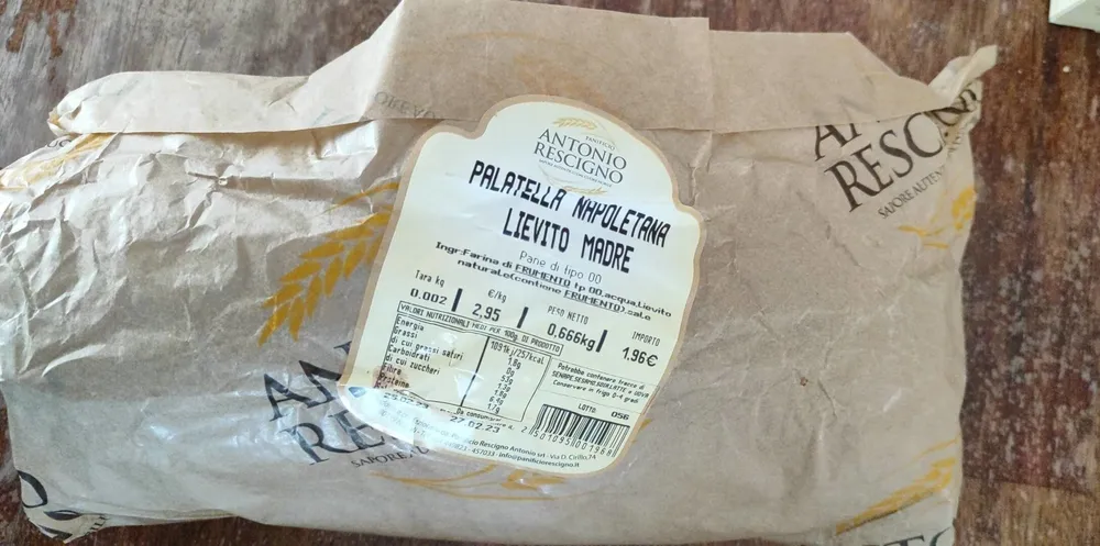 Palatella Napoletana liveito madre