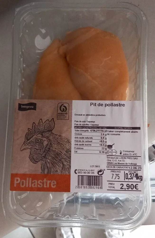 Pit de pollastre