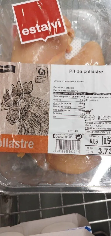 Pit de pollastre