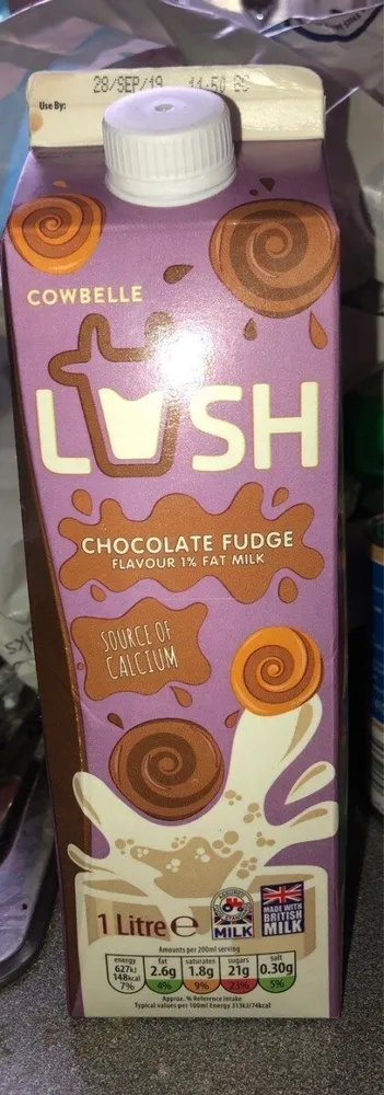 Chocolate fudge milk