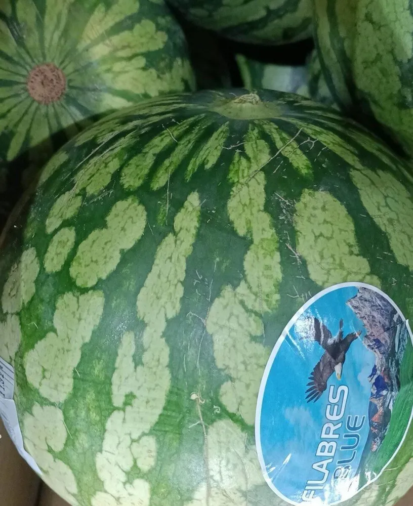 Sandia