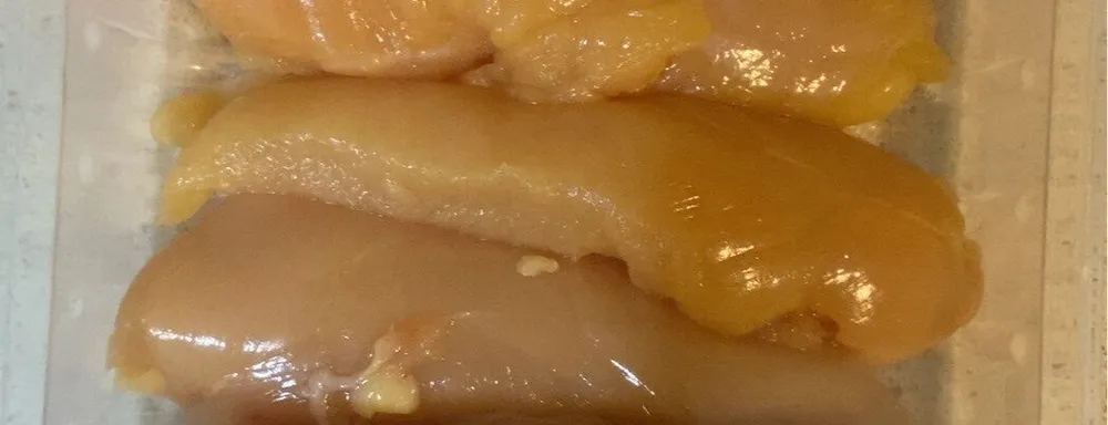 Filet de pollastre