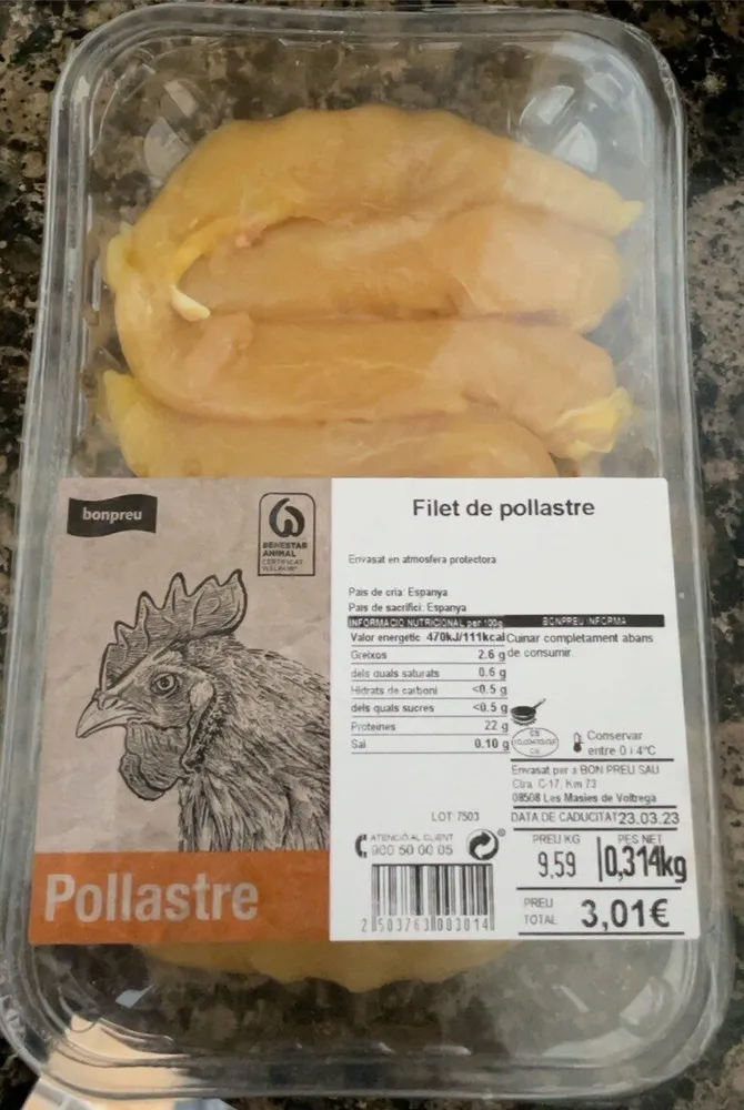 Filet de pollastre