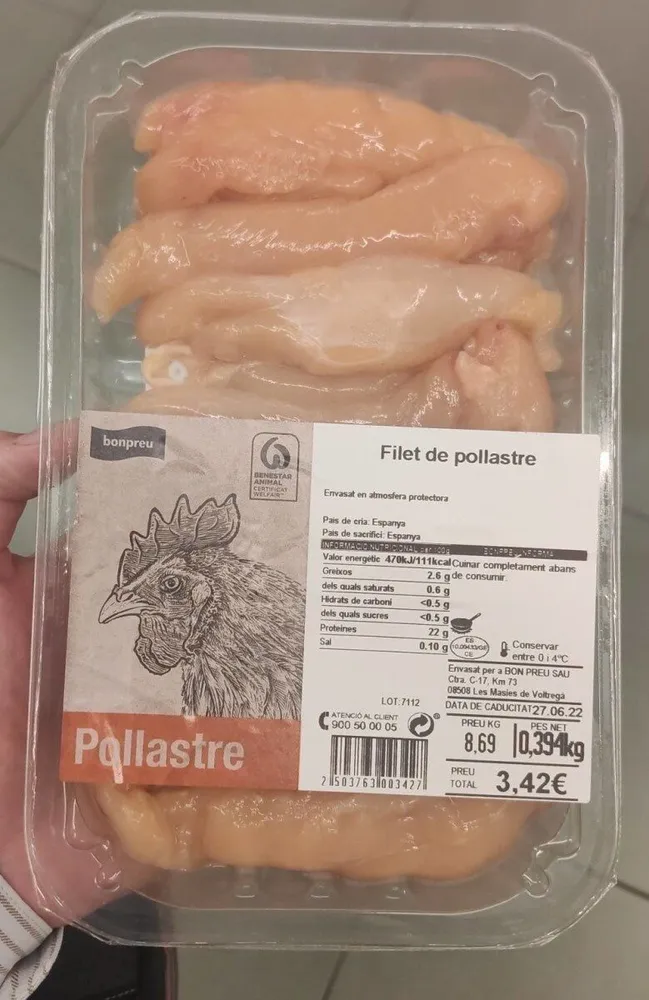 Filet pollastre