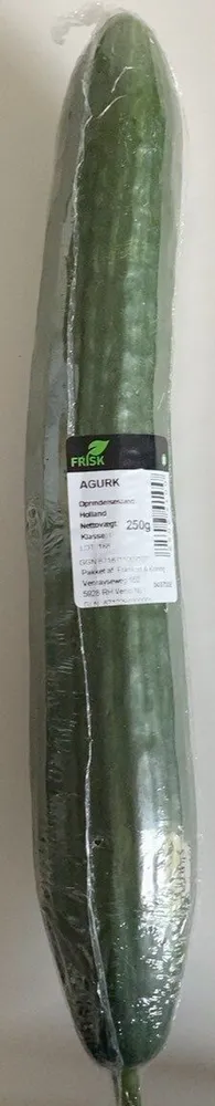 Cucumber