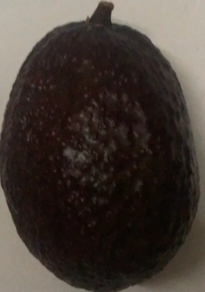 Aguacate