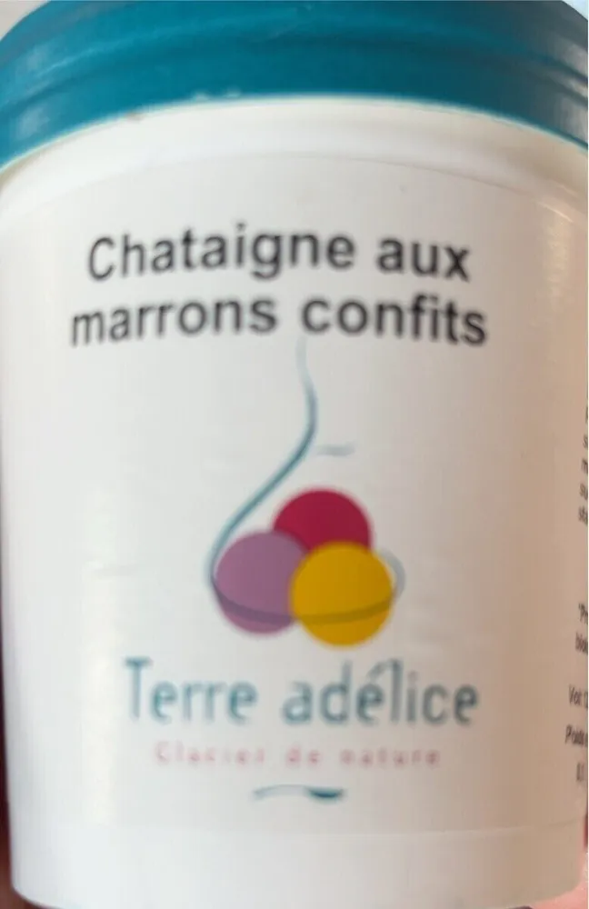 Sorbet bio chataigne