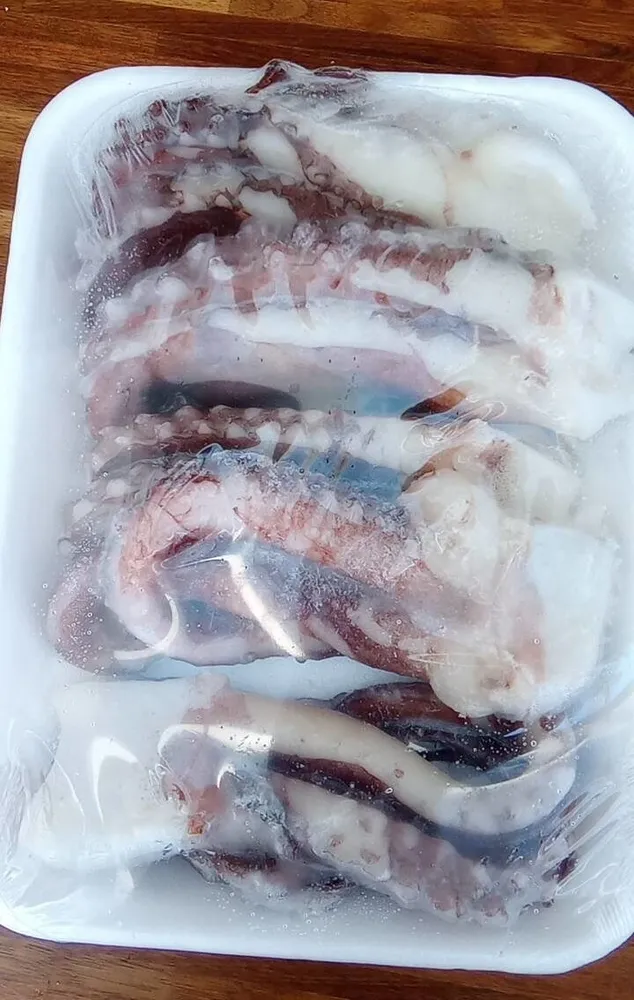 Tentacoli di totano gigante del Pacifico