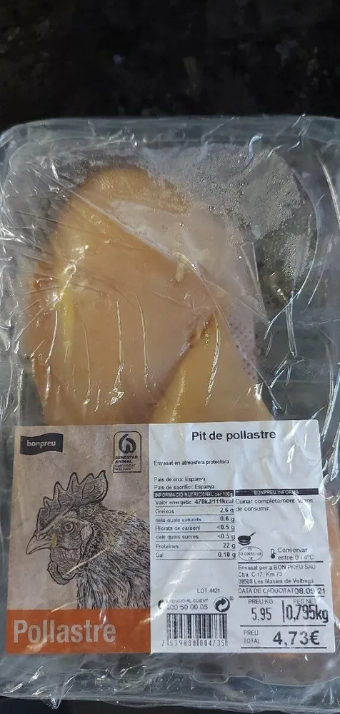 Pit de pollastre