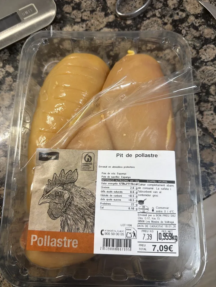 Pollo