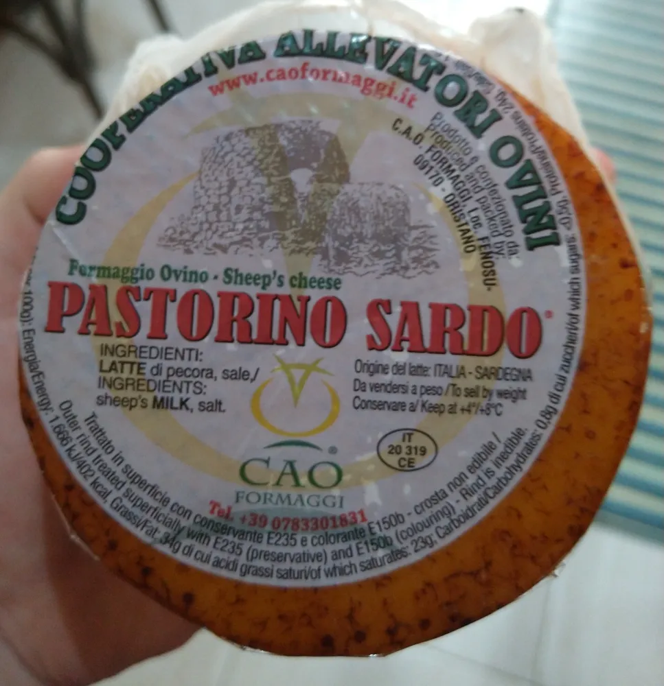 Pastorino sardo