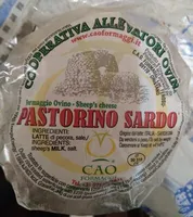 Pastorino sardo