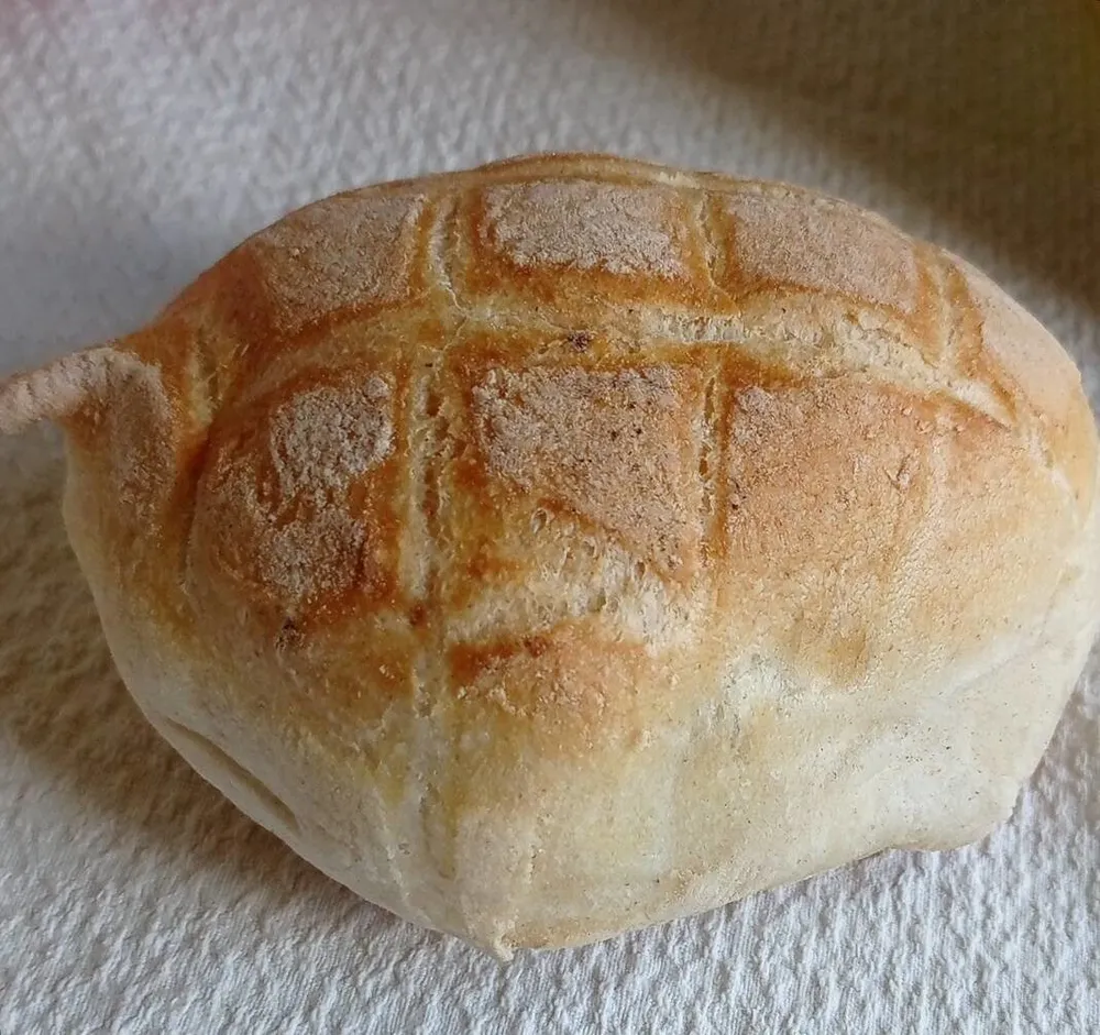 Panini Bianchi