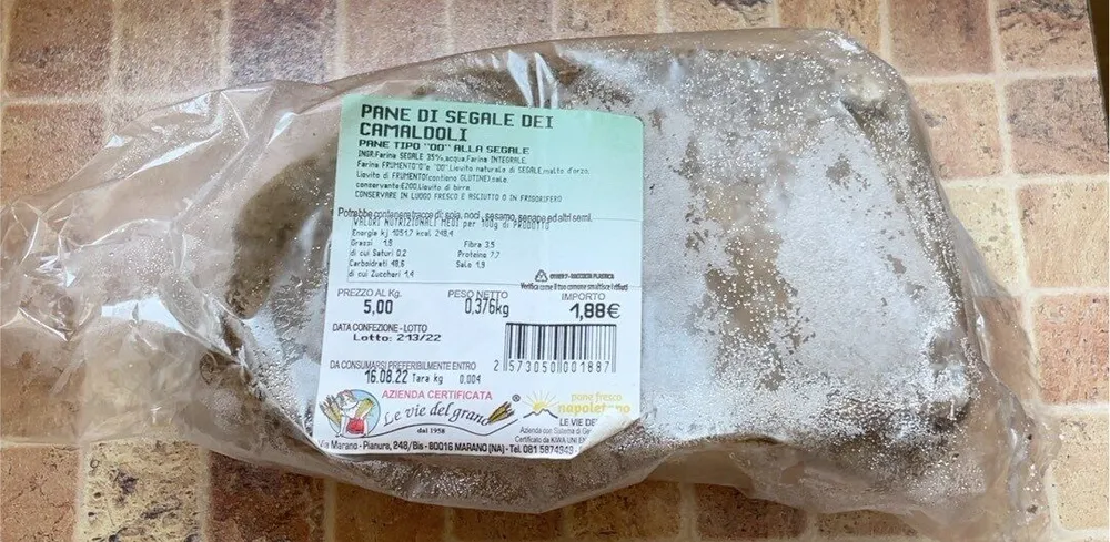 Pane di segale