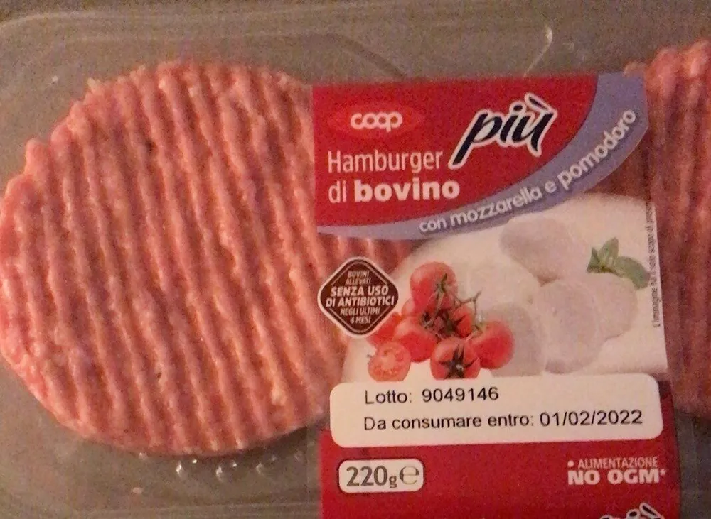 Hamburger di bovino