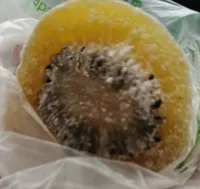 Tranches de kiwi déshydratée