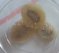 Tranche de kiwi déshydraté