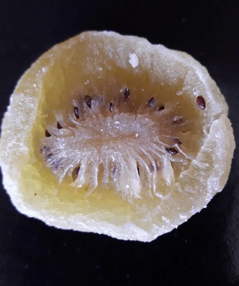 Kiwi déshydraté