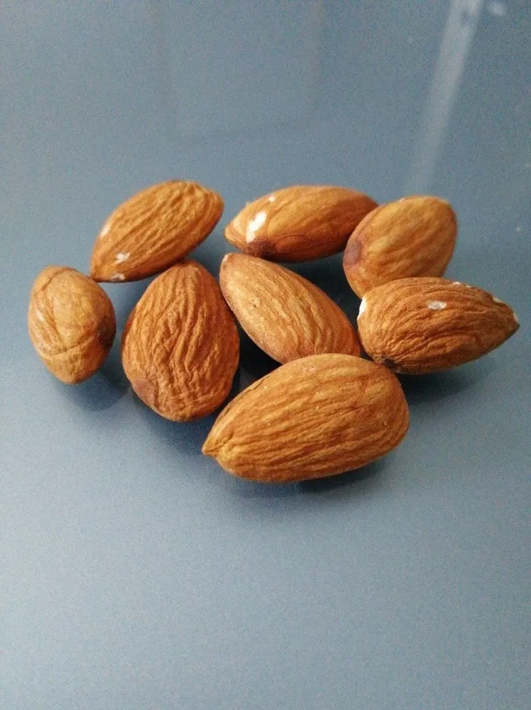 Amandes décortiquées (variétés non pareil)