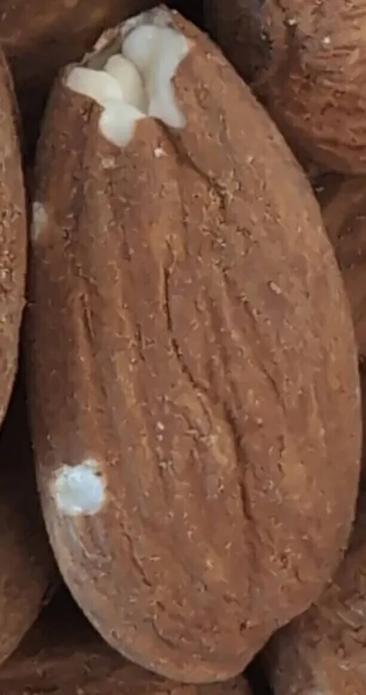 Amandes décortiquées