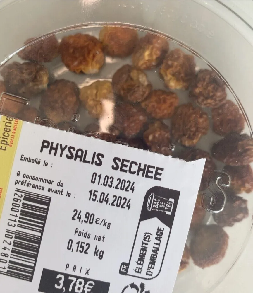 Physalis sechee