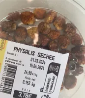 Physalis sechee