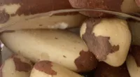 Noix du Brésil décortiquées