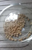 Pignon de pin