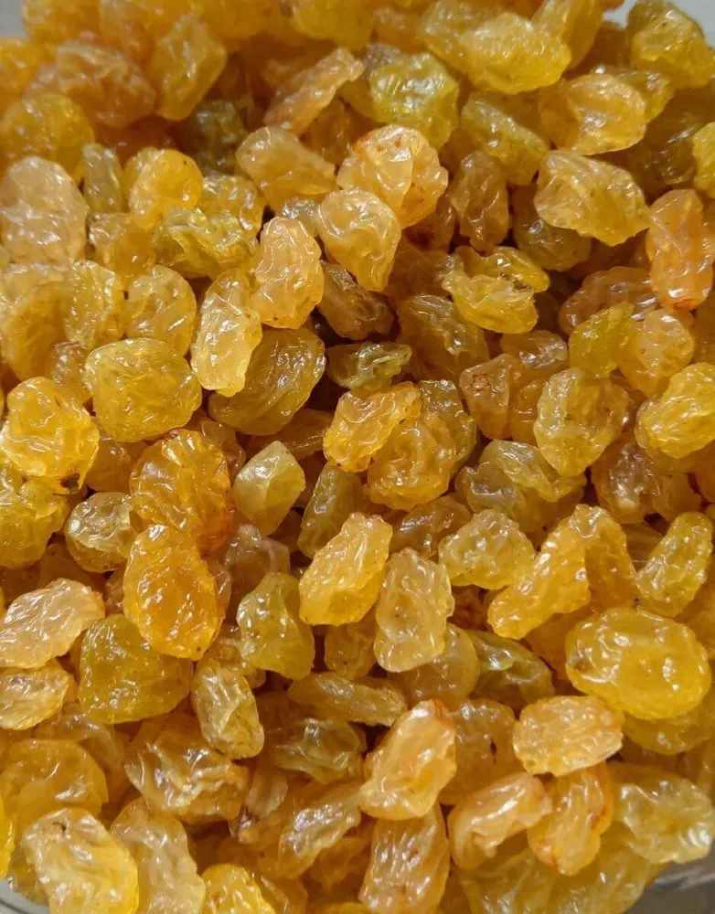 Raisin Golden