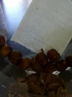 Noisettes décortiquées