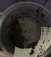 Tapenadines olivades noire et verte
