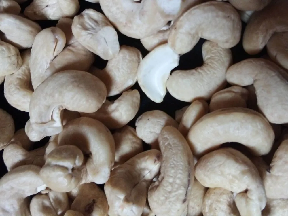 Noix de cajou crues