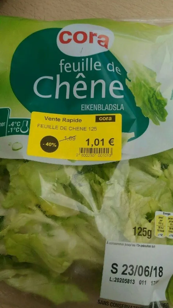 Feuille de chêne