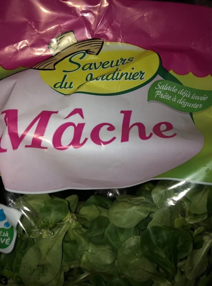 Salade de mâche