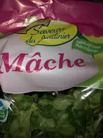Salade de mâche