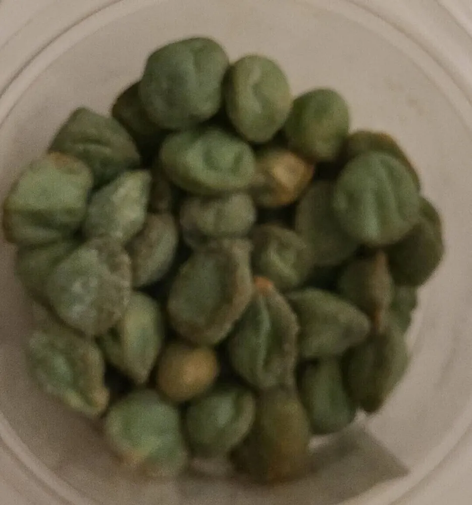 Arachide wasabi