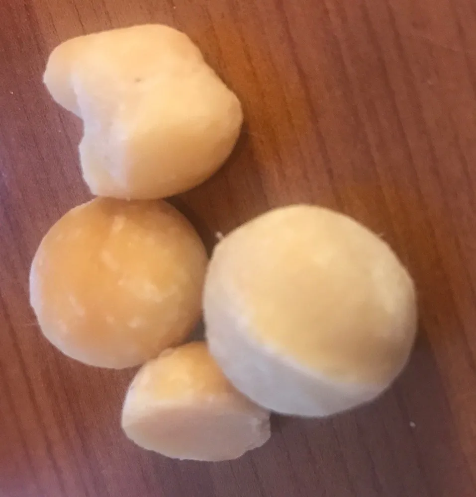 Noix de macadamia grillées à sec