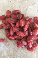 baies de goji sechees