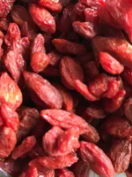 Baies de Goji séchées