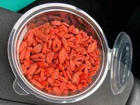 Baies de Goji séchées