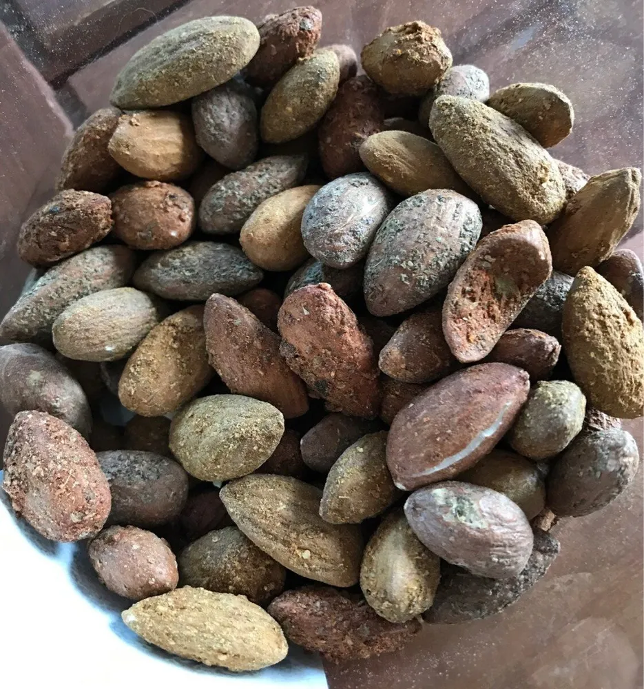 Trio Amandes Grillées