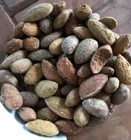 Trio Amandes Grillées