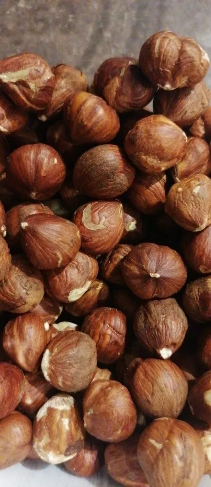 Noisettes décortiquées