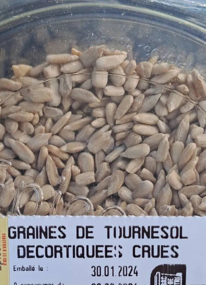 Graines de tournesol
