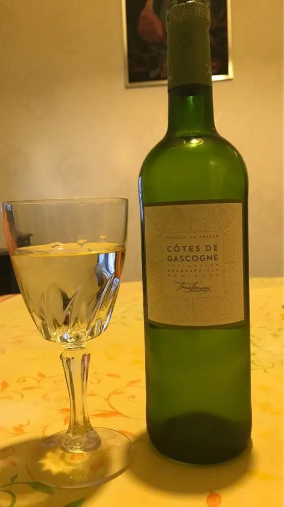 Cotes de gascogne
