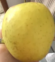 Manzana