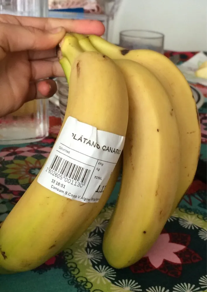 Platano canario